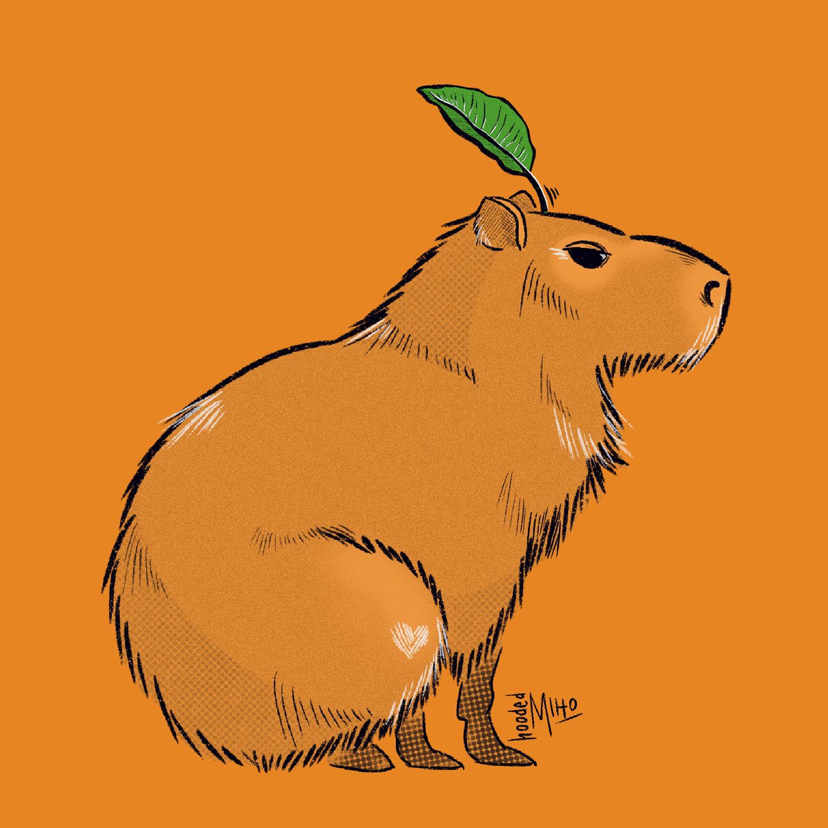 how about i don’t draw anything in months and then drop this capybara