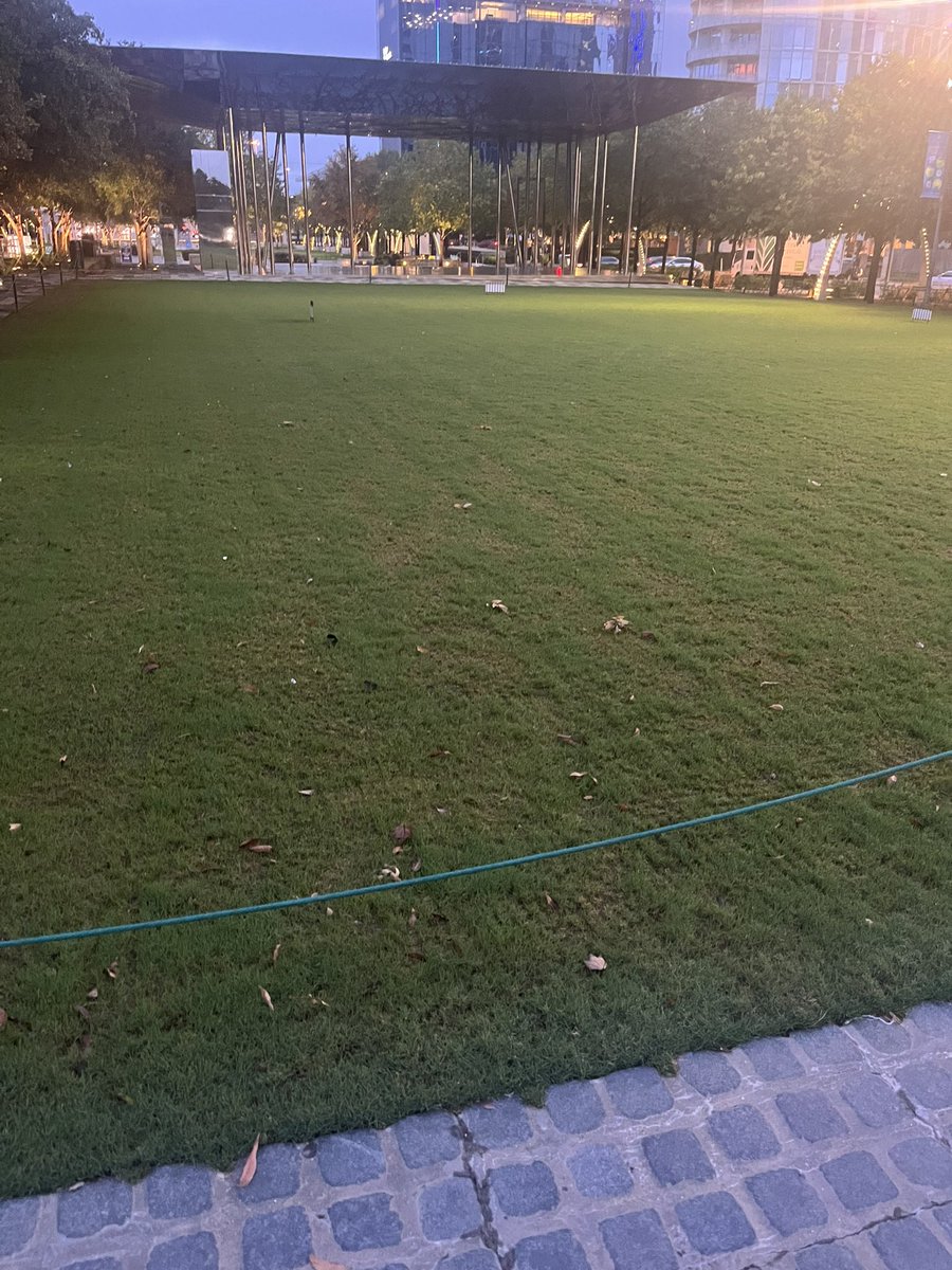 Ryegrass starting to push up @KlydeWarrenPark @glkturftx_rick @glkturftexas @SoBoDallas