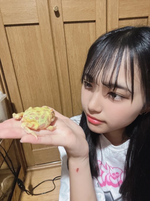 秋月柑七のTwitter画像5