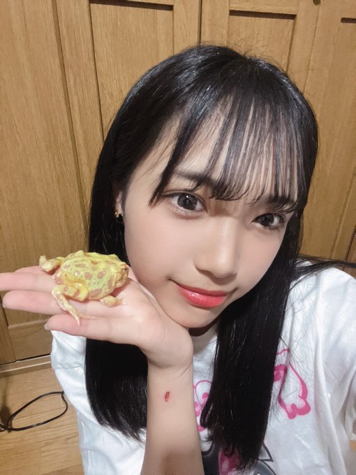 秋月柑七のTwitter画像6