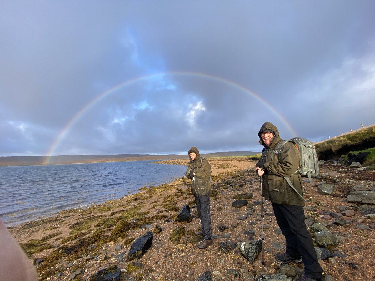 We’re still enjoying leading Otter tours each wk. selection from a photo-tour Ive been leading this wk for retuning participants Michael Yule & Kenny Ramsey. (Otter pics by Kenny). Plenty encounters & some birds; Pallid Harrier, Arctic Warbler, Little bunting👍 #Shetland #otters