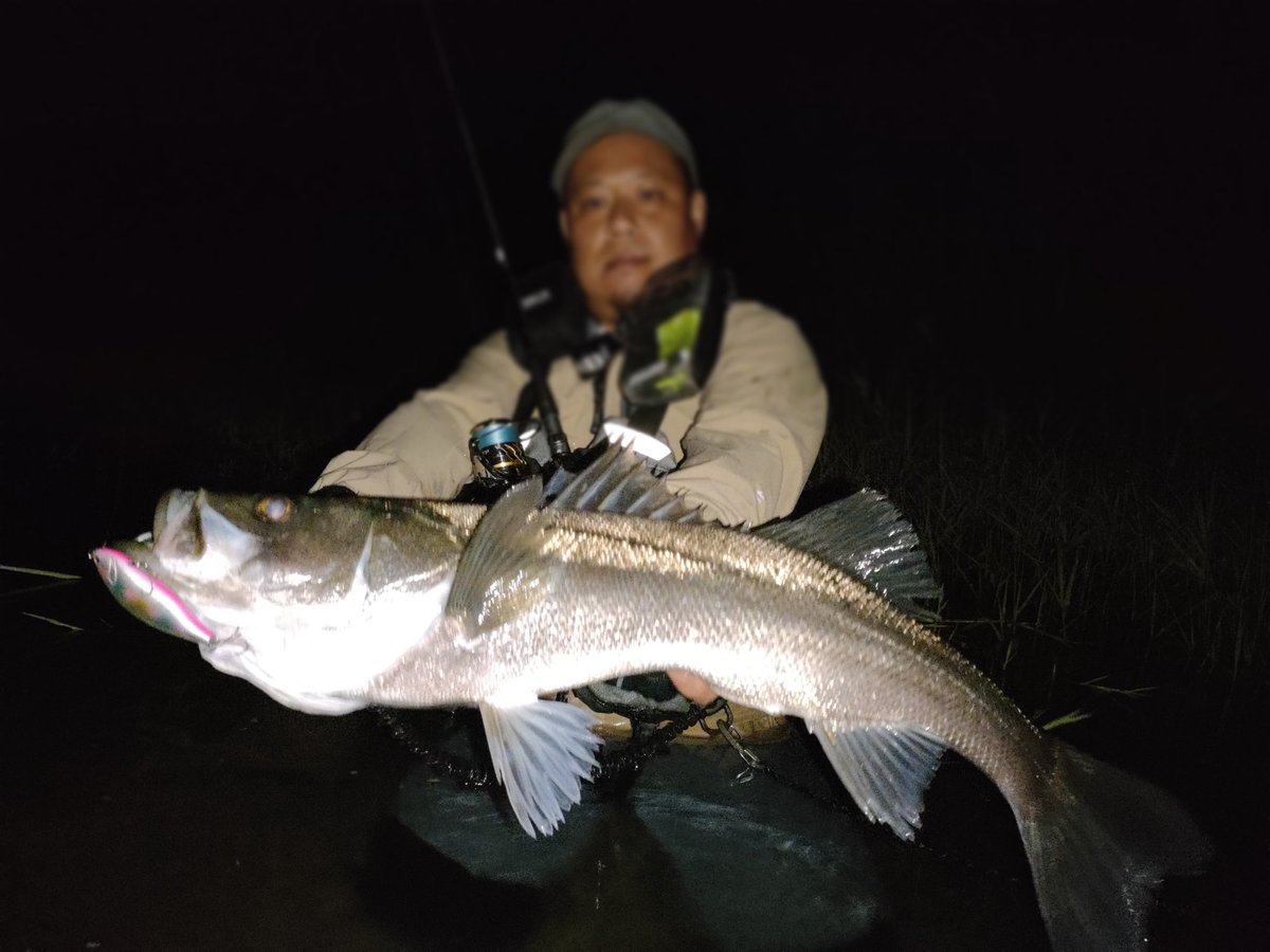 mochriverwading's tweet photo. 秋に向けて調査。
ベイトは少ないし流れも緩いしまだもうちょっと先な感じ。
それでも大好きなロケーションで1本良型が出てくれて🤗
#シーバス
#リバーシーバス
#ウェーディング
#Gクラフト
#ツインパワー
#NorthCraft
#ラパラジャパン
#エアオグル85slm https://t.co/dgtnzBhyLx