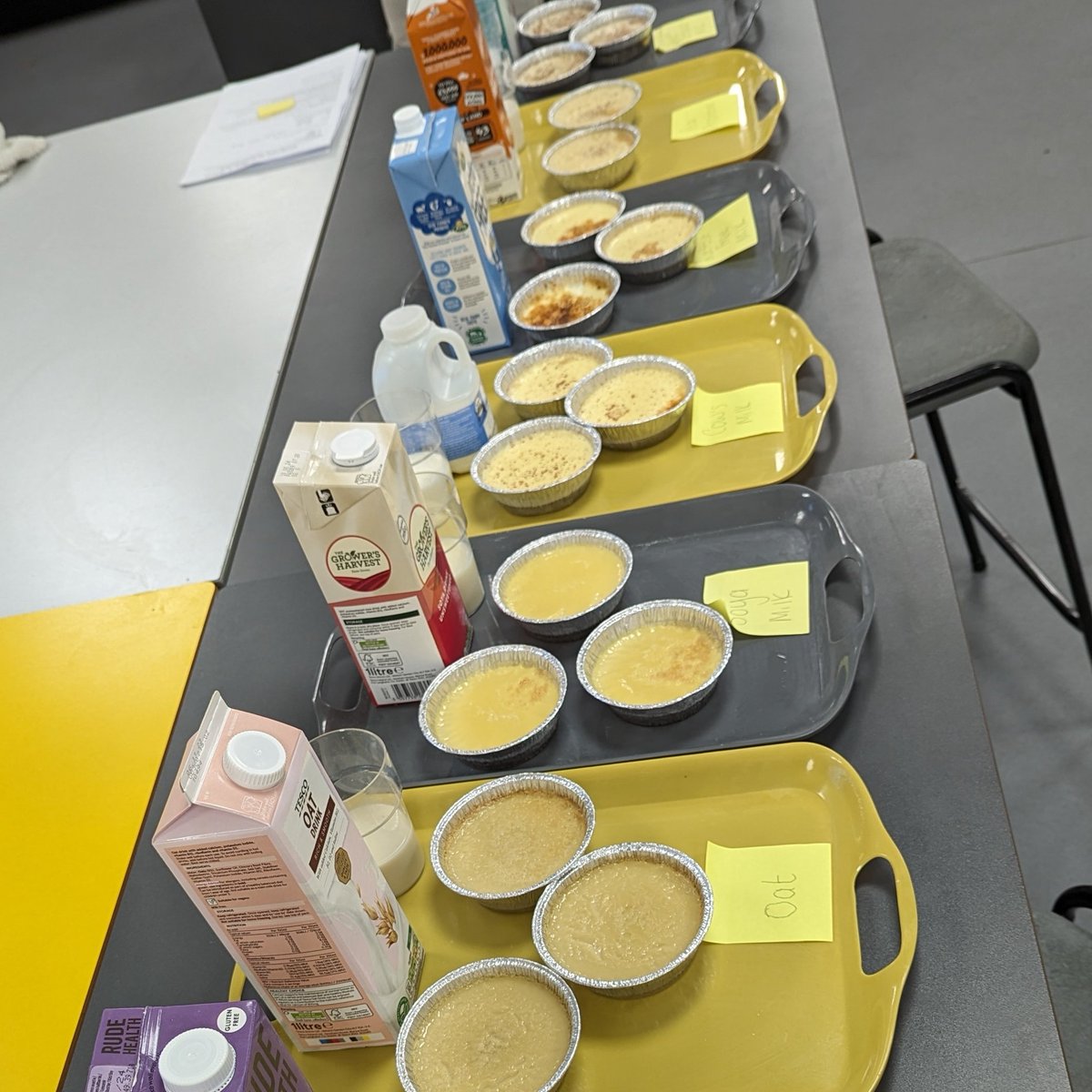 AGSNutrition's tweet photo. Just one experiment, but so much to learn! plant based milks, nutritional values, functional properties all vary, not all as good as they seem #plantbasedmilks #foodandnutrition https://t.co/8DBgEU3ugX