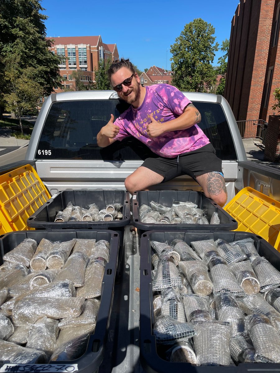 About to go put ~400 root and hyphal ingrowth cores in the ground to measure tree species and mycorrhizal diversity in soil carbon allocation!