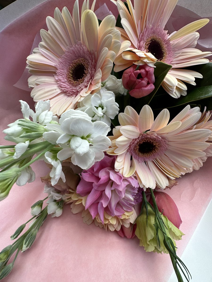 aliumprince's tweet photo. 💐 flowers come in all shapes and sizes, beautiful in its own right 💐 https://t.co/Lq8QEOCyrv