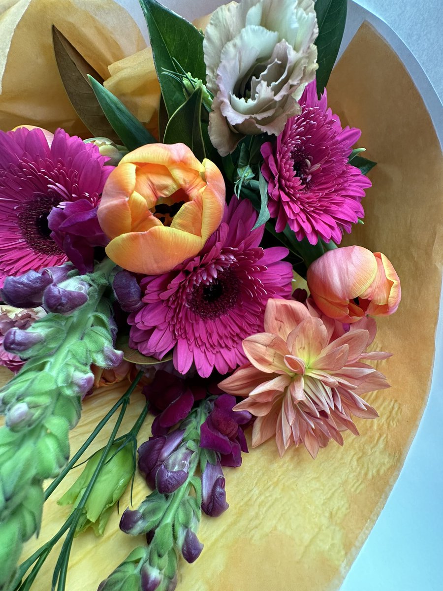 aliumprince's tweet photo. 💐 flowers come in all shapes and sizes, beautiful in its own right 💐 https://t.co/Lq8QEOCyrv