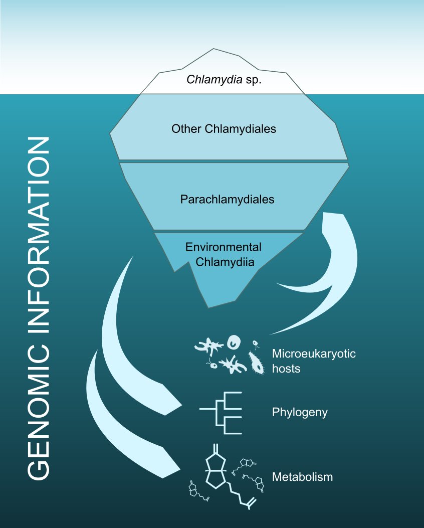 Our paper is now out!

Hidden from plain sight: Novel Simkaniaceae and Rhabdochlamydiaceae diversity emerging from screening genomic and metagenomic data

doi.org/10.1016/j.syap…