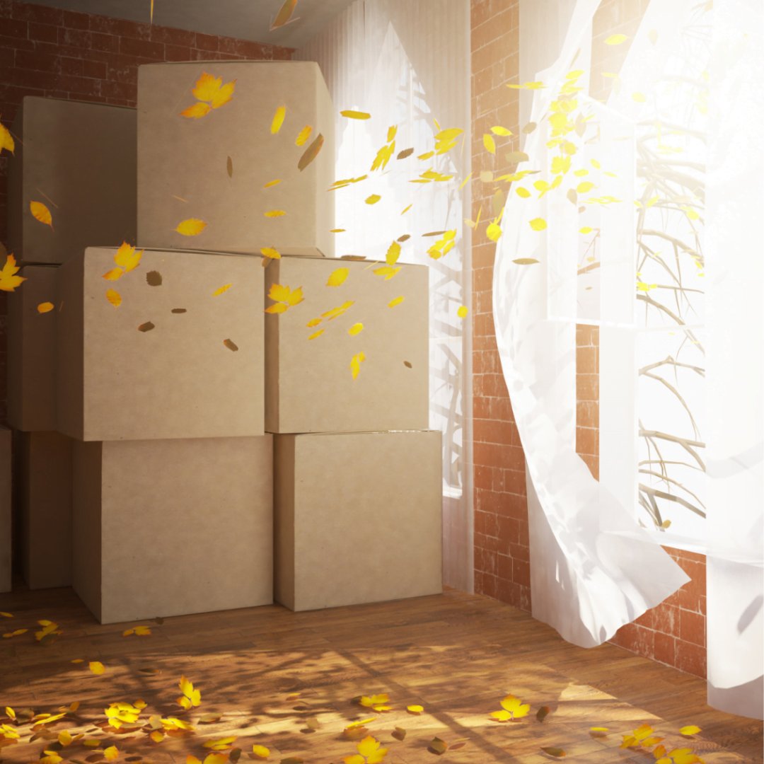 MikeMoverGuelph's tweet image. 🍂 Fall into a Seamless Move with Mike the Mover! 📦🍁

Contact us today at 519-822-0298 to schedule your fall move. Let's make this season memorable for all the right reasons! 🍂🚚🏡

#FallMove #MikeTheMover
