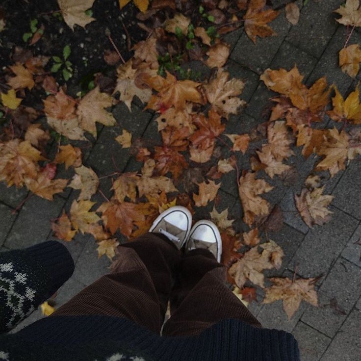 ˚ ༘♡ ·˚ ₊˚ˑ༄ؘ
How to romanticise autumn with an €D: A thread

•€dtwt•
•Likes and rts are much appreciated•
