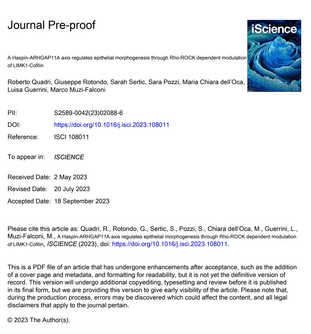 Genome-Instability&Human-Pathologies tweet media