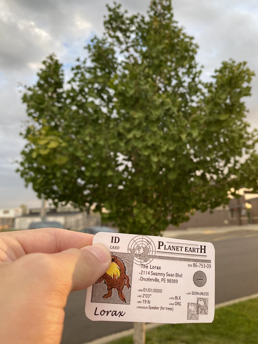 robertRogalins1's tweet photo. Lorax photo
In our local school community trees have been placed in our parking lot. These trees use photosynthesis to reduce the carbon in our atmosphere. The reason planting trees is so important is that cars burn fossil fuels, which produces CO2.
#apesintro
@franklinlorax https://t.co/fYZPcNajZB