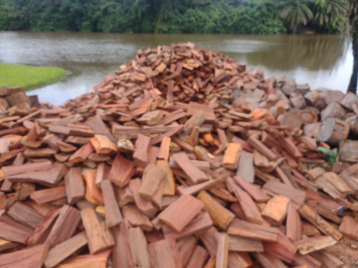 lebekenyassiokr's tweet image. J&apos;ai saisi et dénoncé auprès des plus hautes autorités de la #Sodefor ce pillage de ce qui reste de cette forêt classée dans ma localité.
Que chacun prenne ses responsabilités @Gouvci