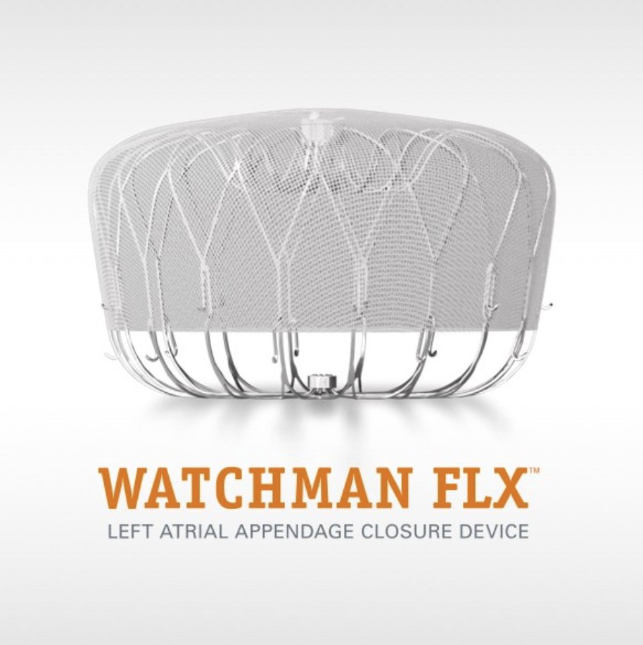 'Don’t Have a Stroke: Boston Scientific’s WATCHMAN Gains FDA Approval'

feedkast.com/feeds/758

#NVAF #Cardiology