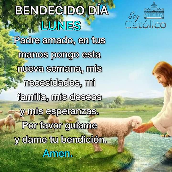 chantal_esp's tweet photo. Buenos días https://t.co/RFKbFGBaPd