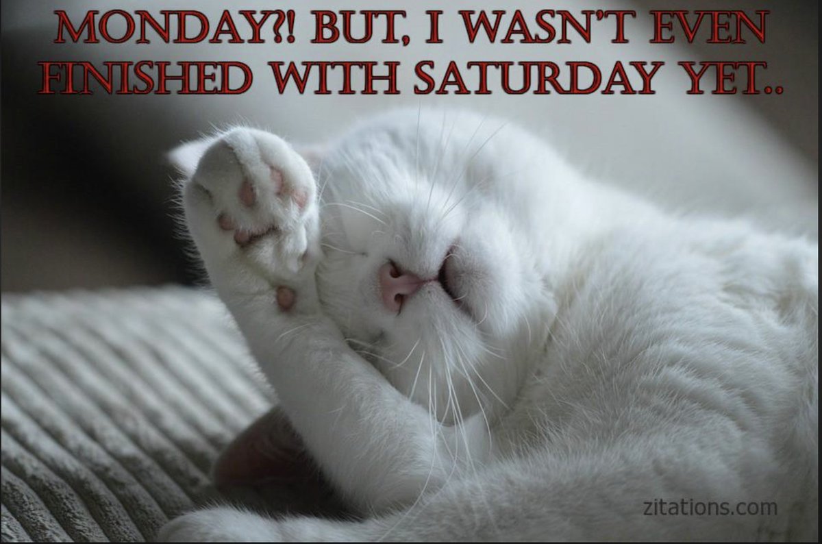 sweetpurls's tweet photo. Seriously... https://t.co/DcVKx9wmBP