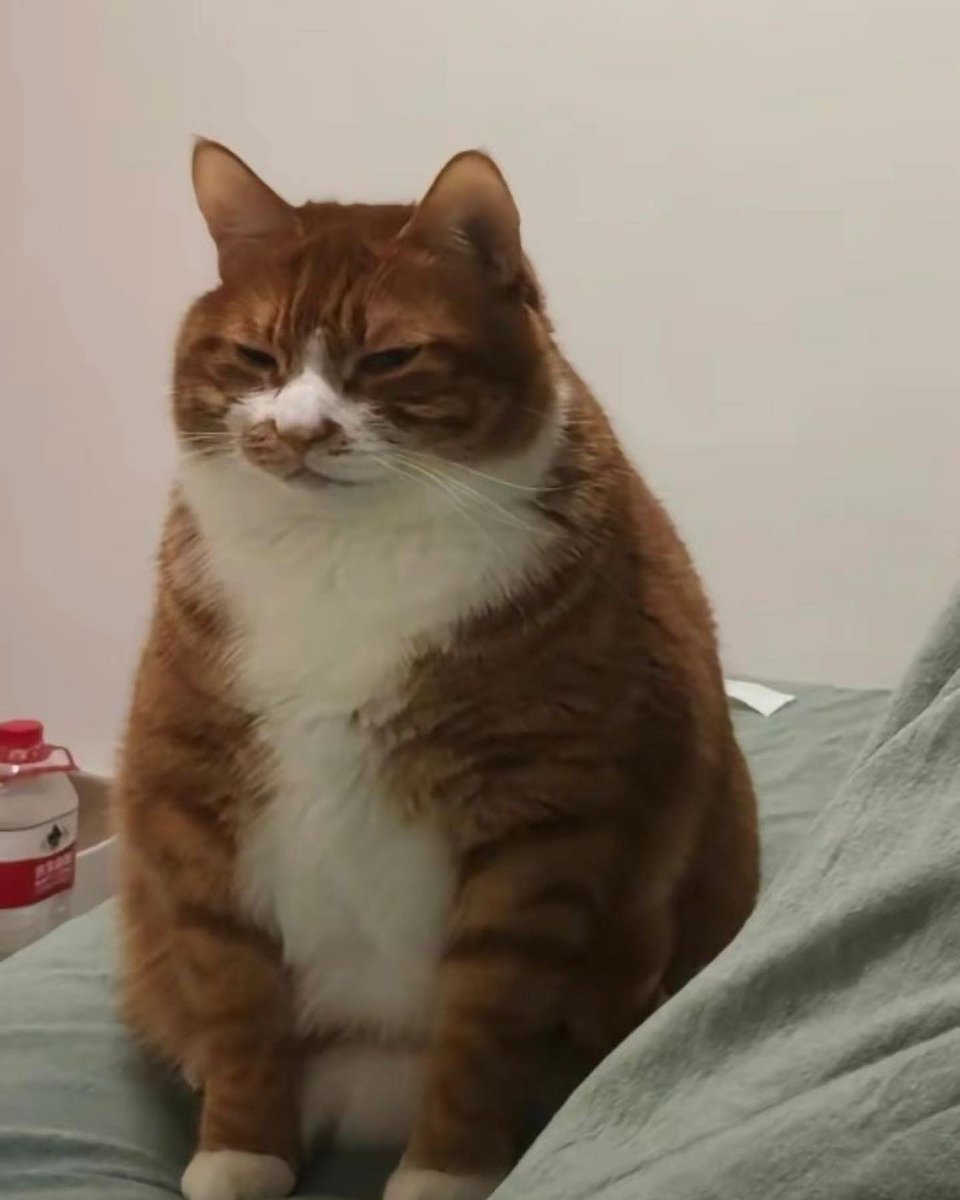 Bulu Bulu Kehidupan 🇲🇾 tweet media