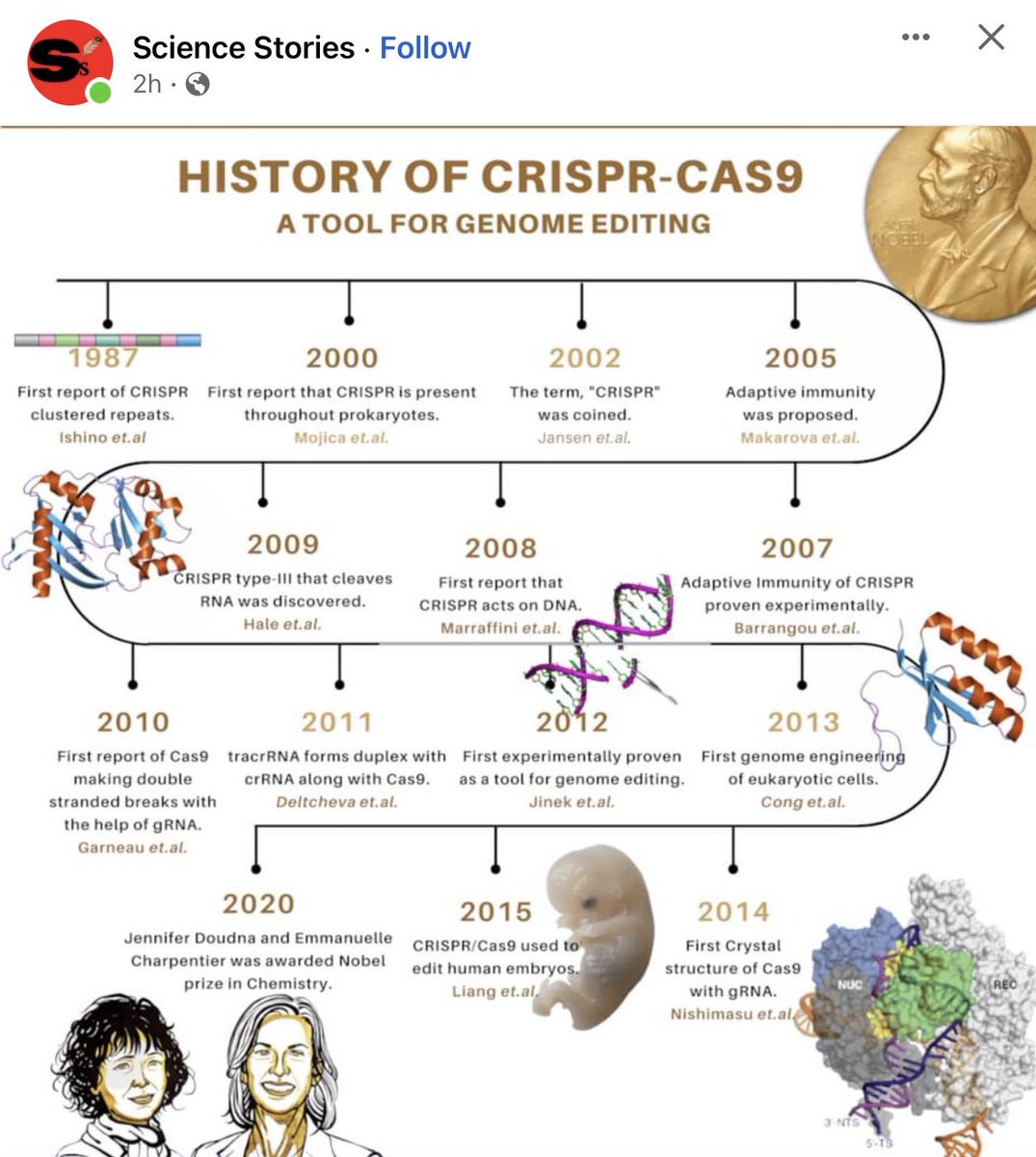 AgBioWorld's tweet photo. CRISPR….standing on the shoulders of giants 

@Sciencestoriess https://t.co/ntB4reIhWd