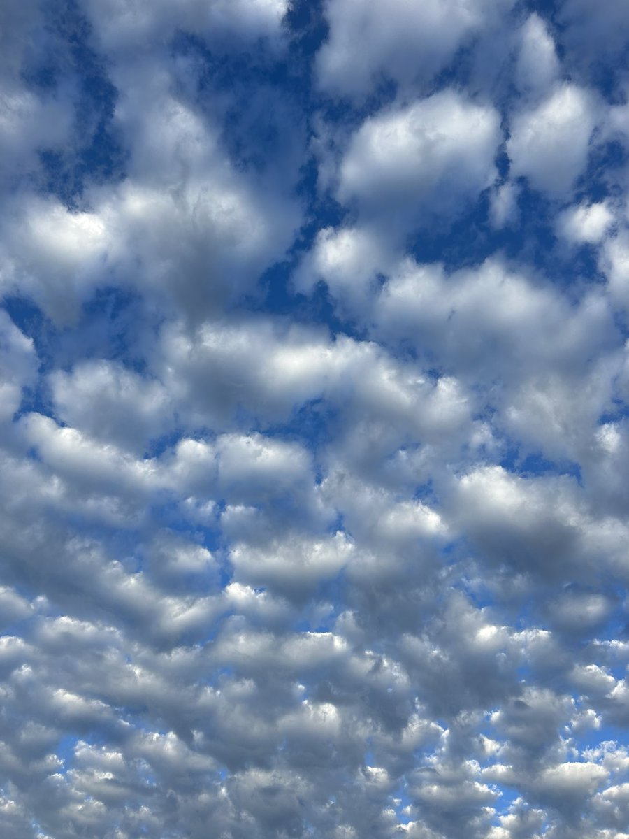 Neil__Honey's tweet photo. @MboroSevereWx @RuthSevereWx some unique clouds this morning in the New Salem/St. Andrew area #tSpotter https://t.co/w1e983LBNB