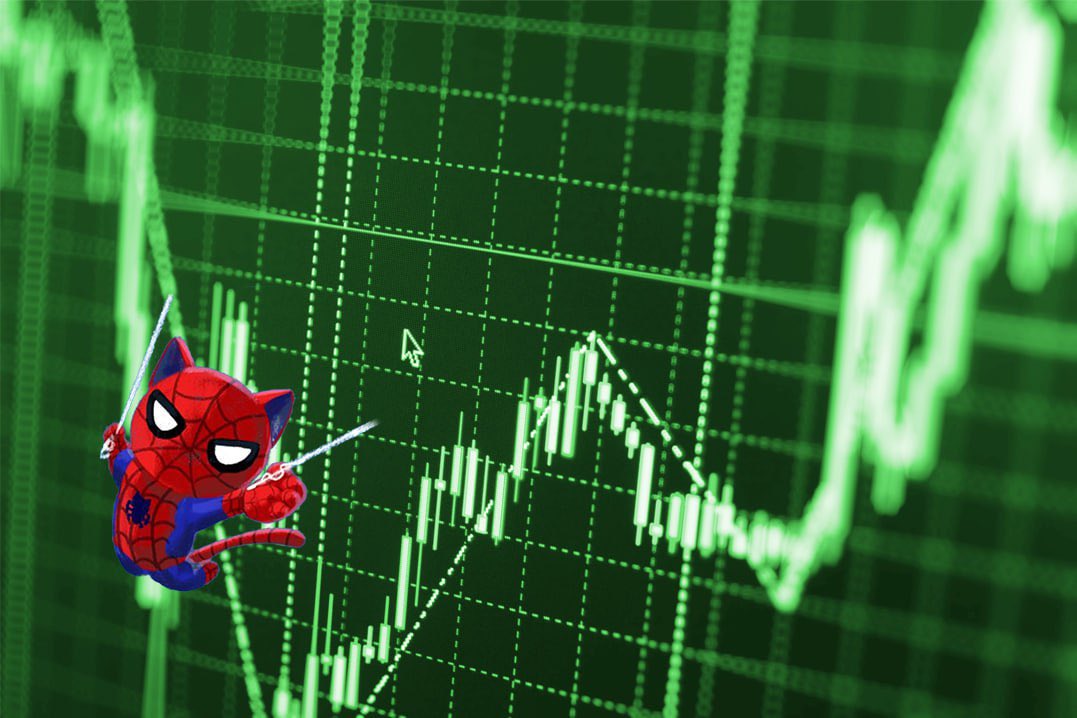 Spidercaterc's tweet photo. Only #spidercat webbing his way up to the top of the chart!

#spidercaterc #crypto #pepe #marvel https://t.co/jShaUHWvWr