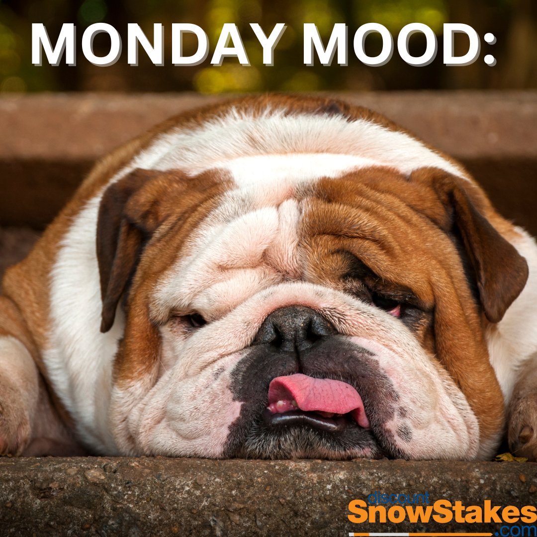 SnowStakes's tweet photo. Happy Monday!
#snowremoval #snowplow #snow #snowplowing #snowplowlife #contractor #snowpro #plow #snowremovalservices #commercialsnowremoval #snowplows #plowing #snowpros #plowtruck #snowfall #snowremovalservices #commercialsnowplowing #snowstakes #drivewaymarkers #plowstakes https://t.co/ElormSIJzM