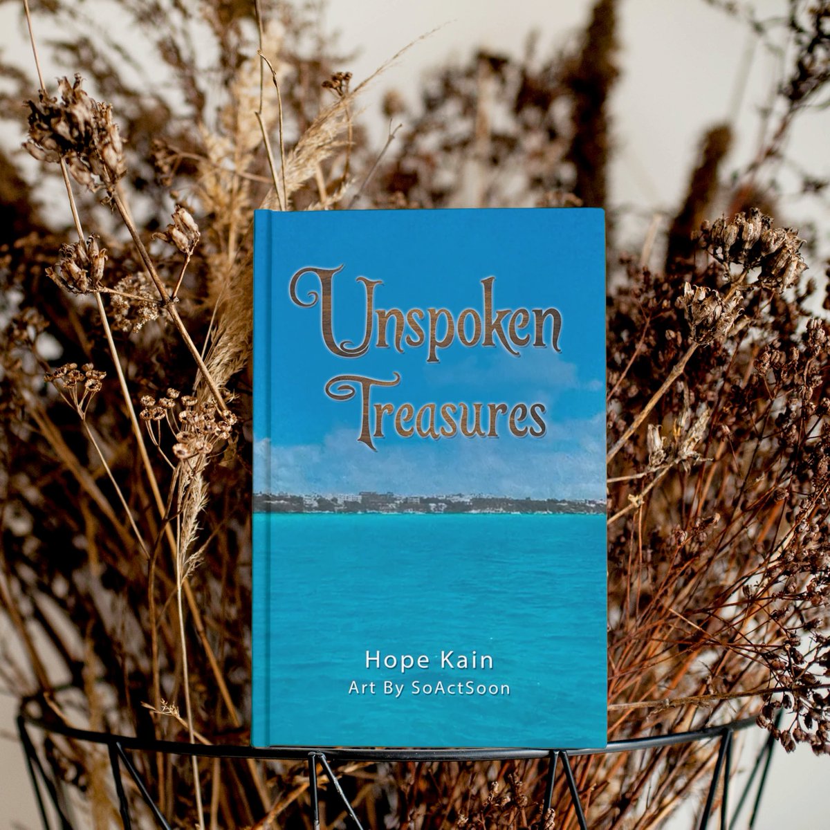 BOOK TOUR ALERT! 🚨

Unspoken Treasures by Hope Kain

BOOK DETAILS HERE: shorturl.at/tBJX2