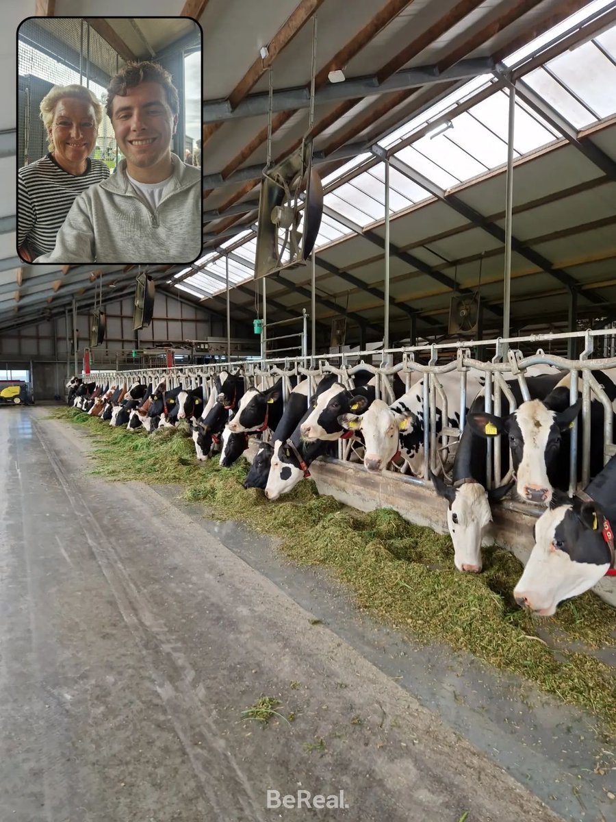 kevinklinkspoor's tweet photo. Vanmiddag met kandidaat-Kamerlid @vermeerjenny (#20) en @CDAWestland op werkbezoek in de buurgemeente @Midden_Delfland. Op bezoek bij de koeien! 🐄 #wldebat https://t.co/IT4tMI6T7c