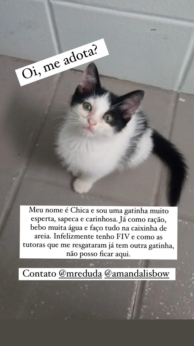 me ajudem compartilhando por favor