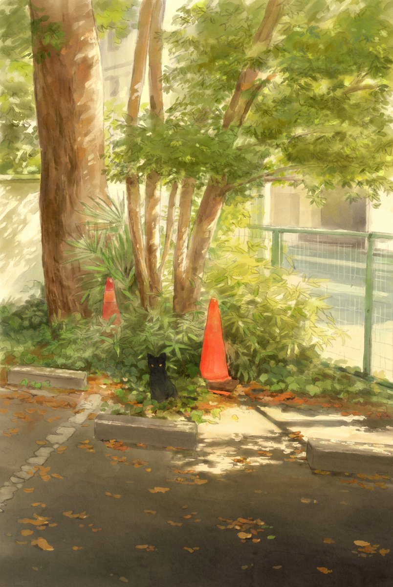 Inasa_Fujio's tweet photo. https://t.co/hM3OUNNwCW