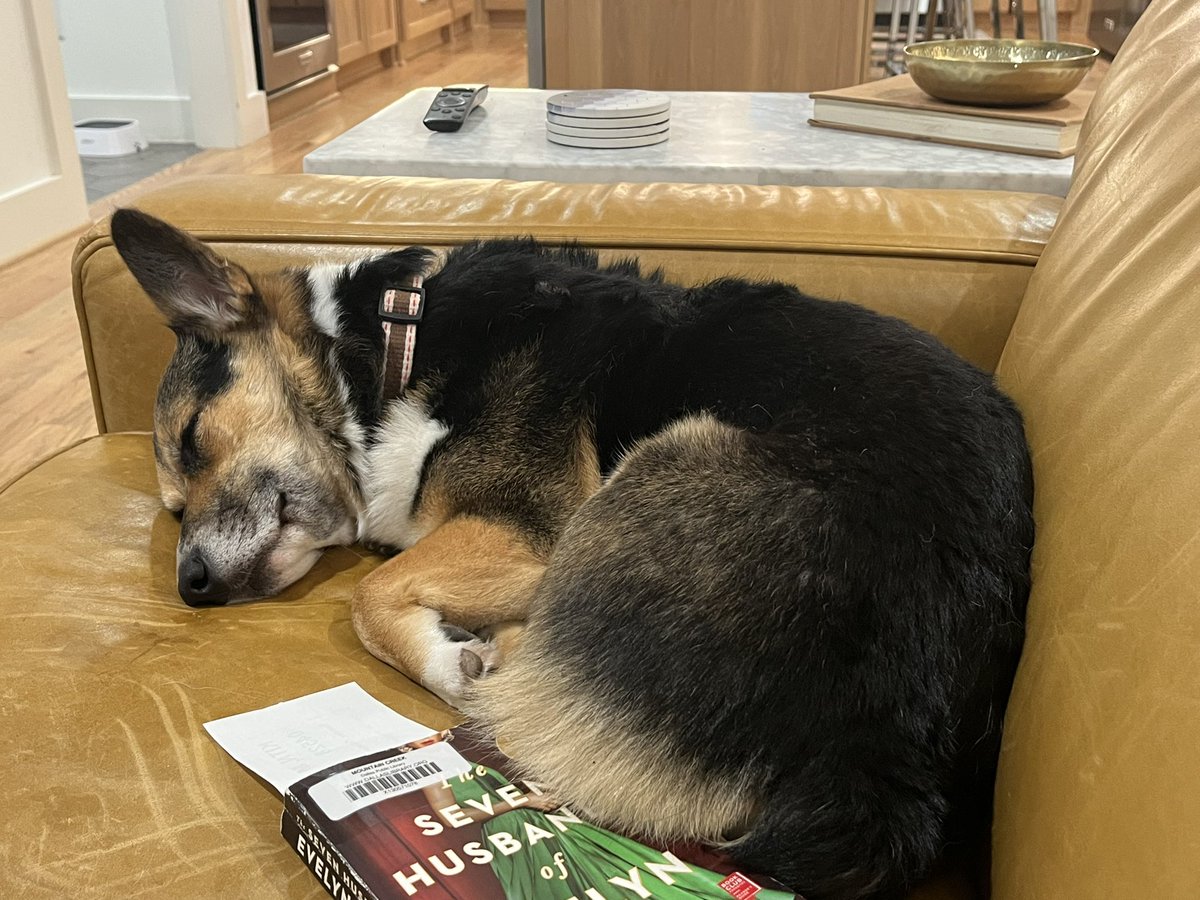 Corgi Lover (@corgi_doglover) on Twitter photo 