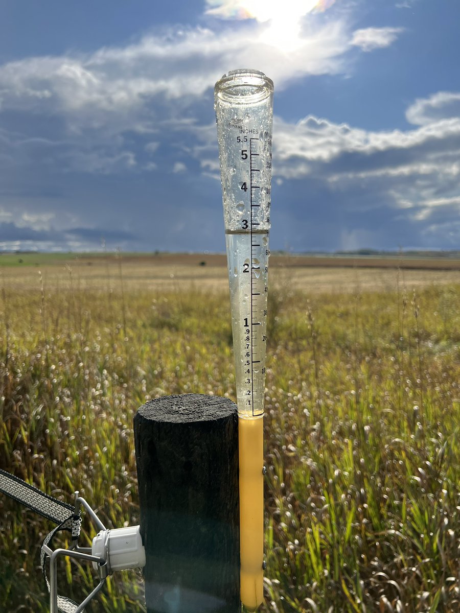 Good rain over the weekend, too late for this years crop… but I’m still a lucky man.