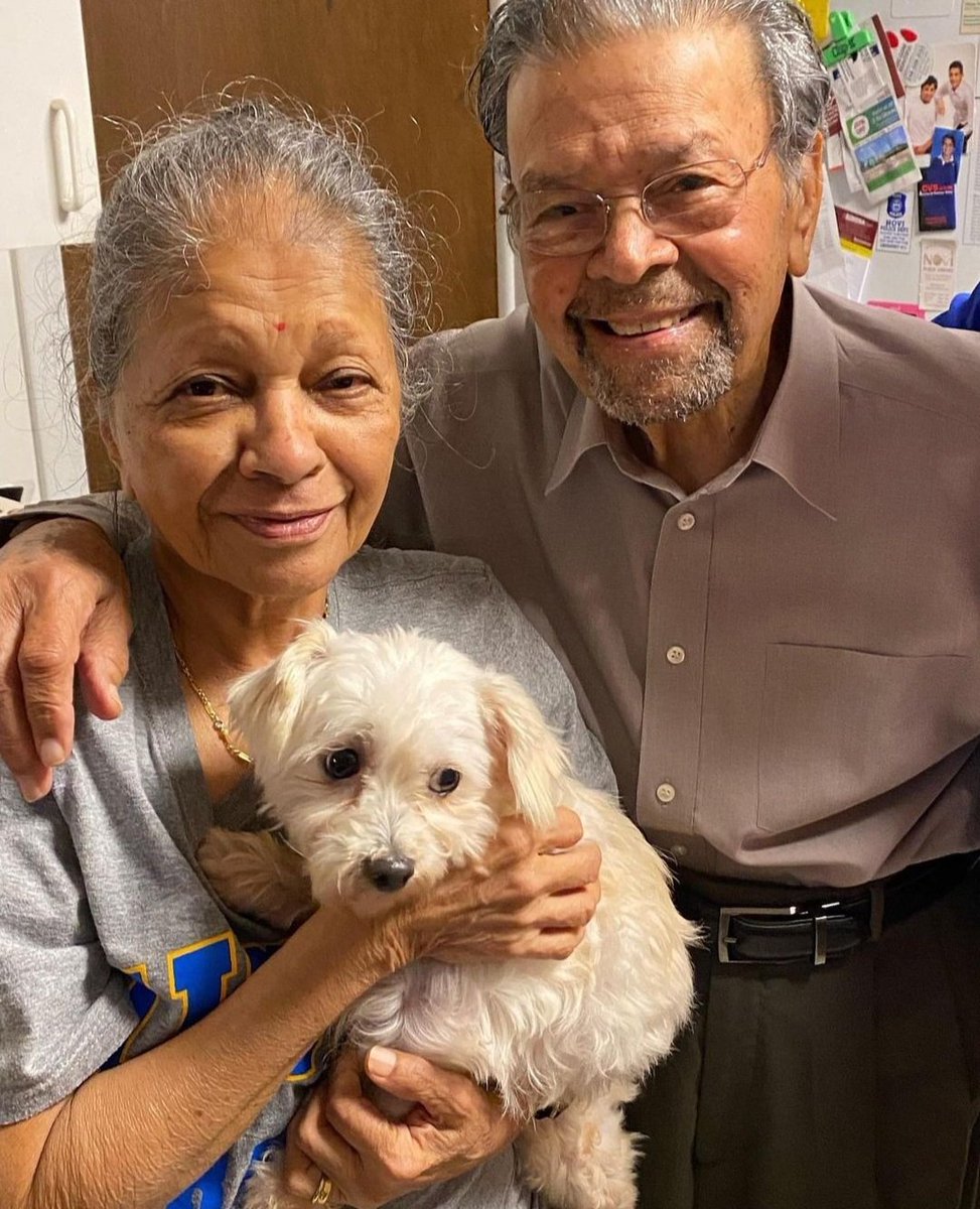 DannyRonsRescue's tweet photo. ADOPTED!  Perfect little PRETTY GIRL (Now named "Priti") flew all the way from SC to Michigan last night to meet her forever people!  Congratulations to Siddharth and Kumud on the new sweet addition to their family! 
#AlifetimePromise
#AdoptLove https://t.co/2TlNv3LXwo