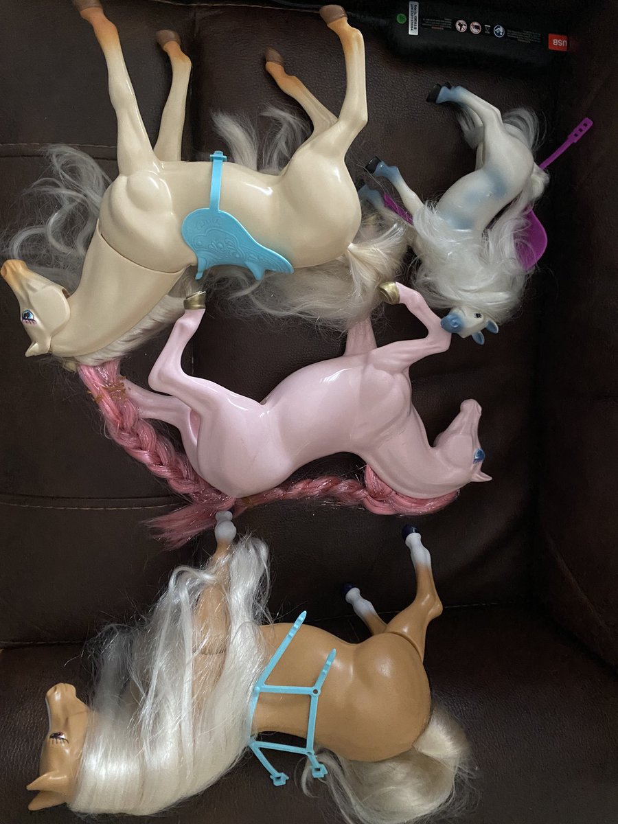 Zandra Cudney tweet media