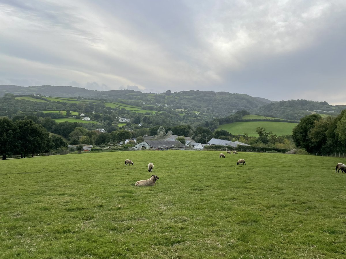 Week 4 of sabbatical