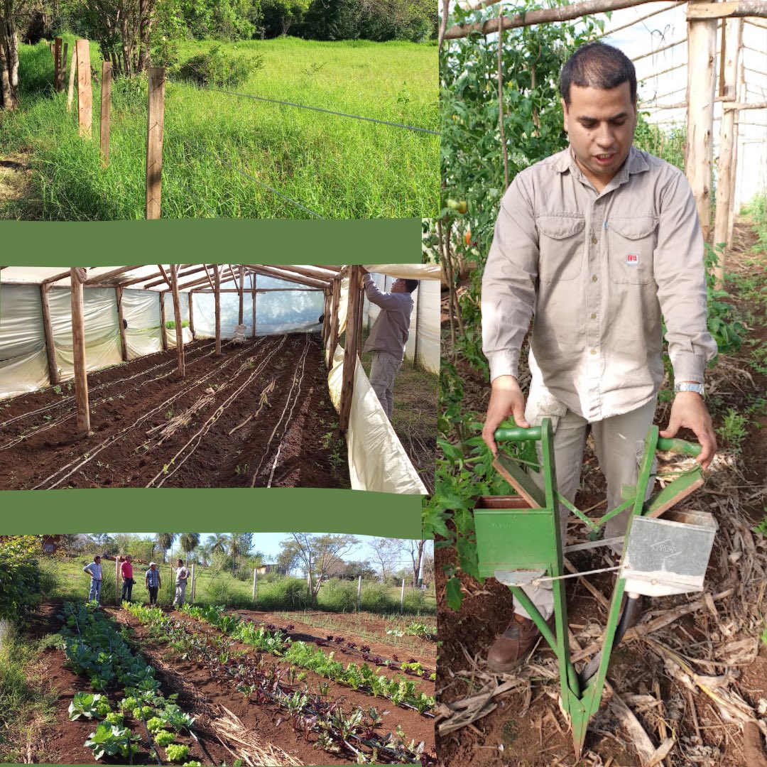 FundEscolares_'s tweet photo. ¡Compartimos los resultados del proyecto de “Acceso al agua y mejora de la producción de alimentos saludables”, en comunidades Mbya Guaraní de la provincia de Misiones. Estas mejoras en la producción contribuyen a potenciar el trabajo comunitario y mejorar la calidad de vida. https://t.co/khTBqzL9Mp