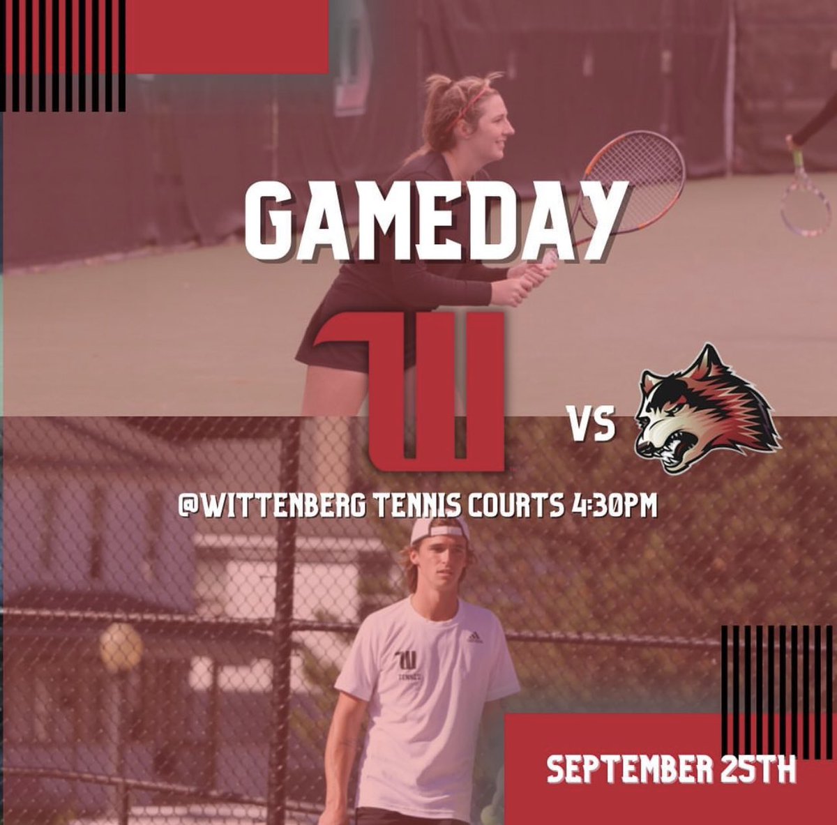 Let’s Go Tigers! 🐅