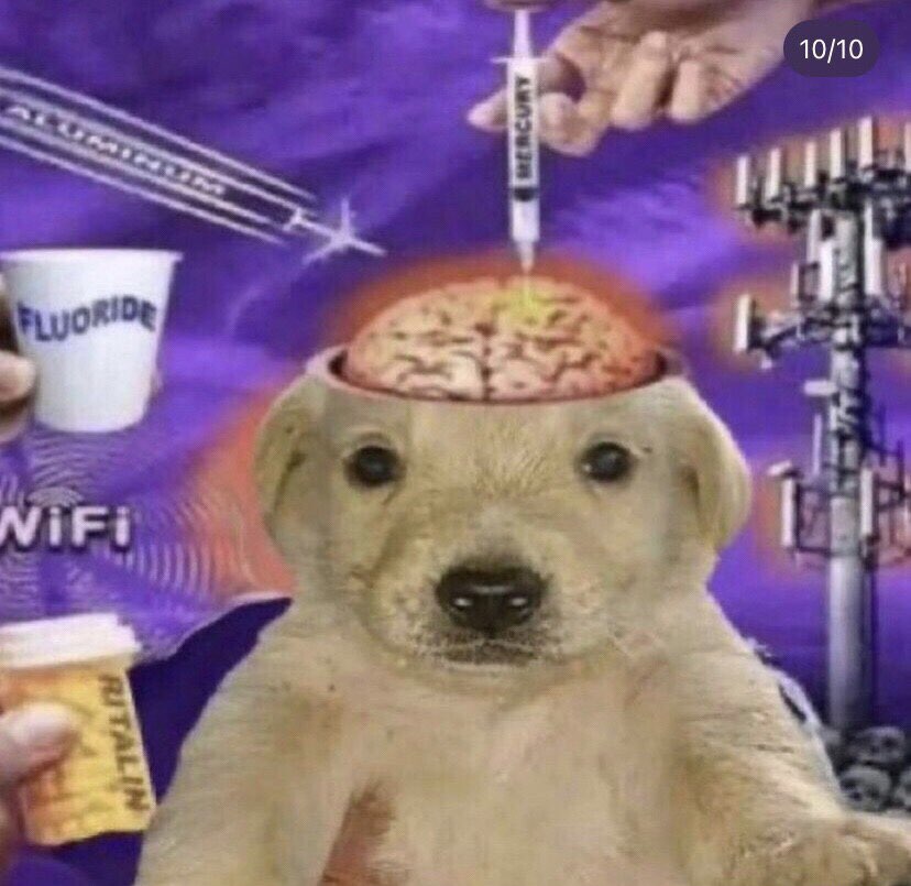 Botckap's tweet photo. modern lobotomy https://t.co/x7NcZgBOpn