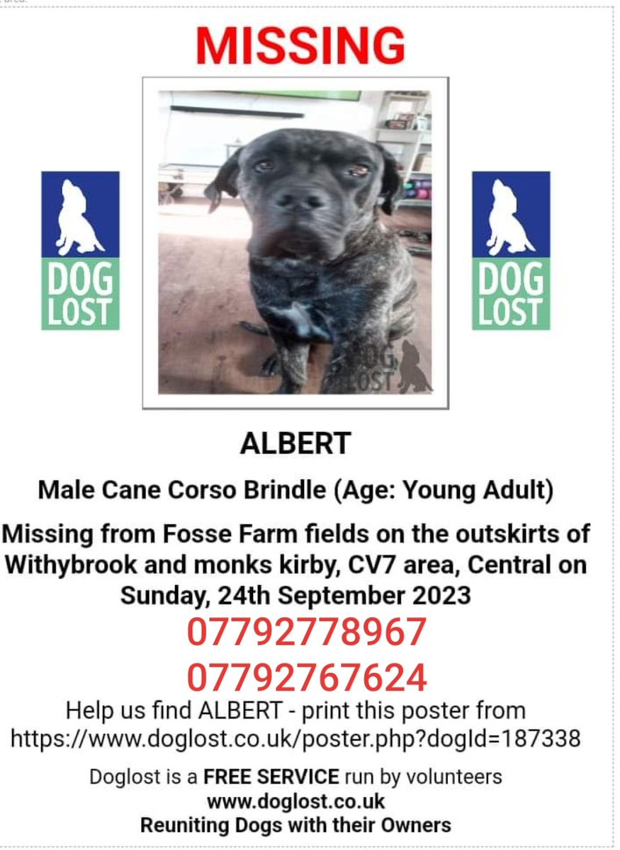 MissingPetsGB's tweet photo. 🐕 ALBERT went missing Sunday afternoon 24 September 2023 from farming field nr Withybrook village (Fosse Farm fields on outskirts of Withybrook &amp; monks kirby) #CV7 #warwickshire
He has hair lost on ears &amp; a small scar between eyes
Please call if seen https://t.co/7pml2uSLox https://t.co/wbdhrwkj2x