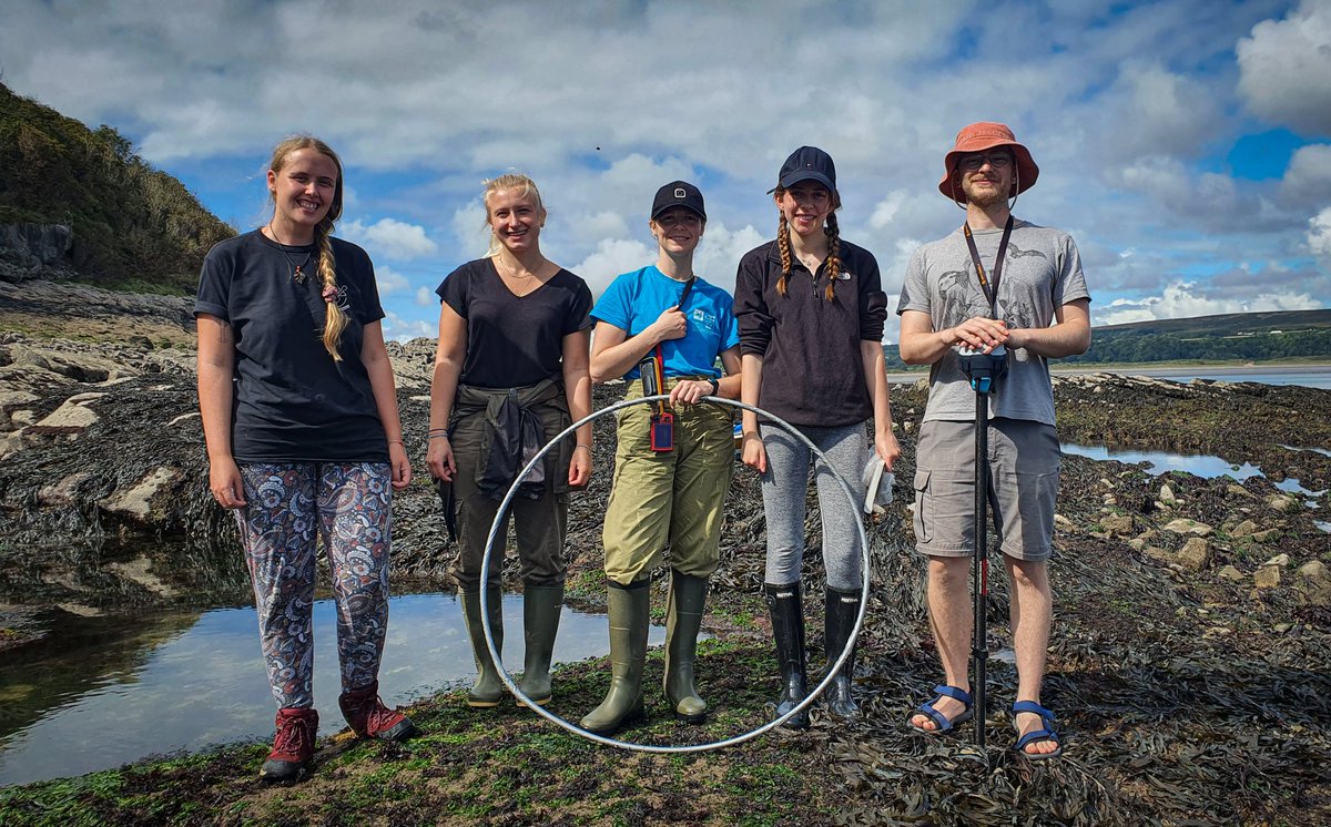 What a year! It's been a huge year on the @BefScale project - observational studies *almost* complete & huge disturbance-recovery #experiment across NE #atlantic area. So proud of our whole team, and our collabs! @JNGriffy @DanSmale1 @Pippa_J_Moore @michaeltburrows @rubygeorge_