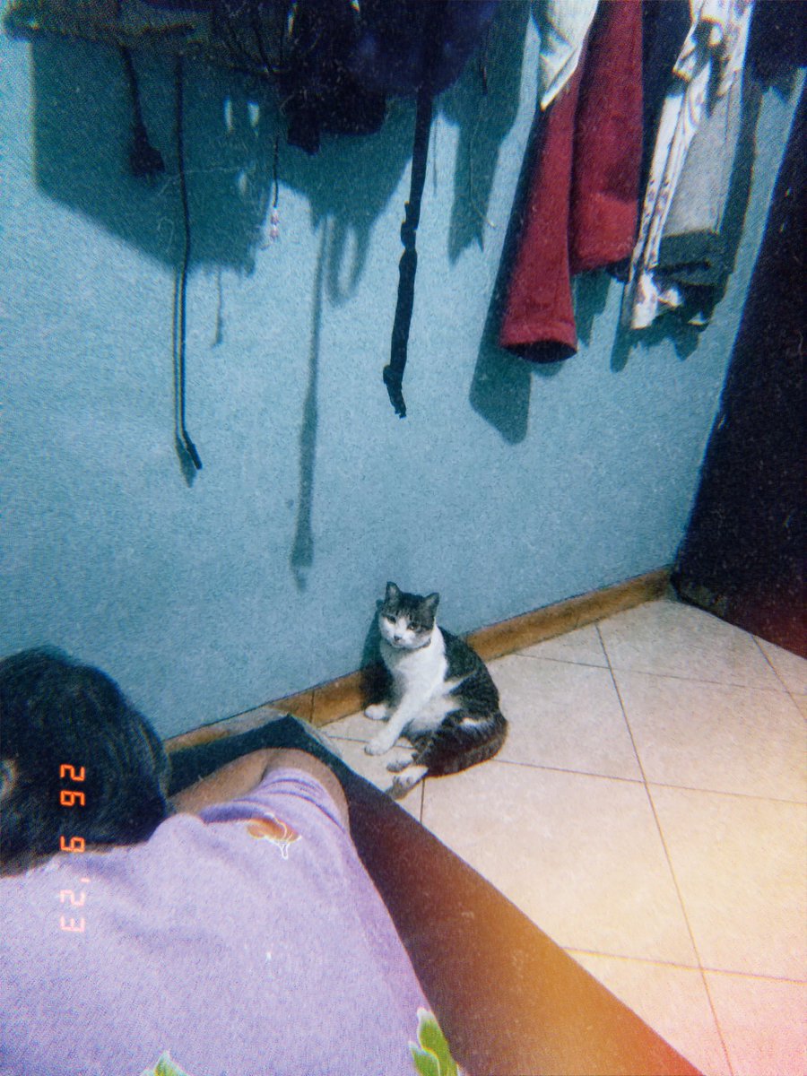 indritavia_'s tweet photo. Nothing. Only my cat. https://t.co/OzEqd8SETw
