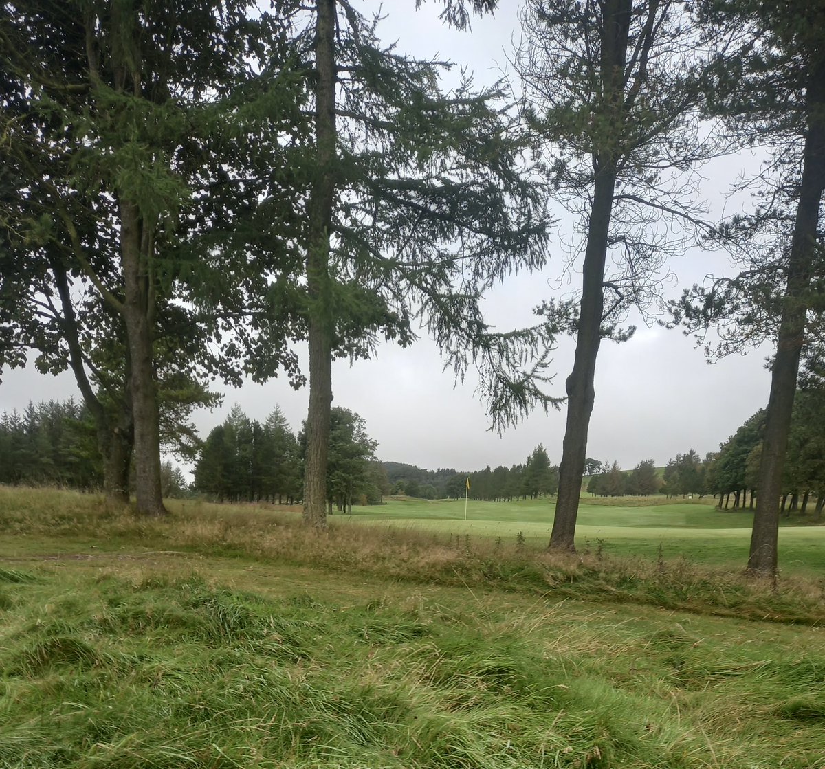 stufergusonmg's tweet photo. Storm before The Storm! #ProperTest #MoorChat #Gowf https://t.co/VMix0MIpOz