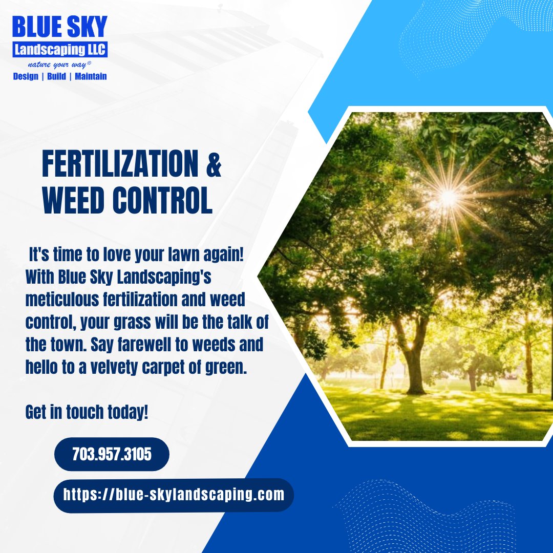 BlueSkyLScaping's tweet image. 🌱 Unlock the full potential of your lawn with Blue Sky Landscaping's expert #fertilization and #weedcontrol services! 🌿 Our tailored approach ensures lush, vibrant grass while keeping those pesky weeds at bay. Transform your yard into a haven of green beauty.🏞️ 

#LawnCareMagic