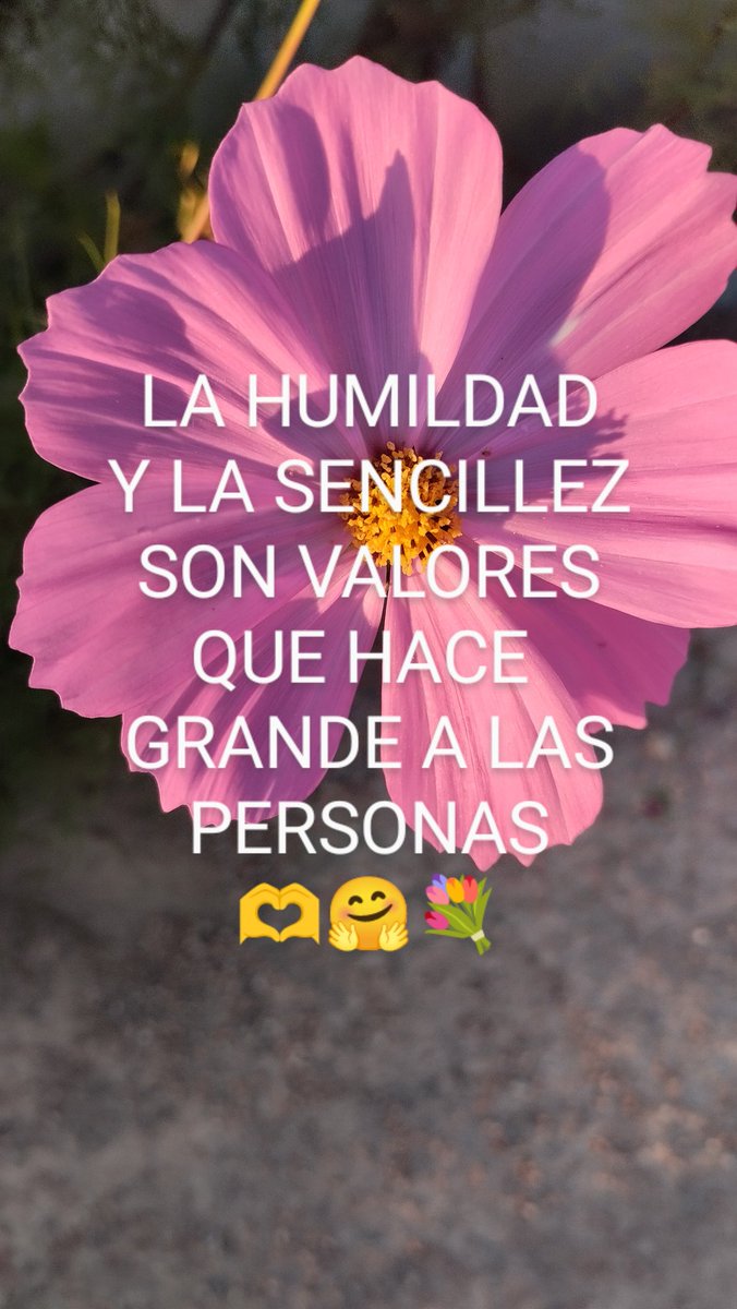 VidaEquilibrada (@vidaequilibrad4) on Twitter photo 