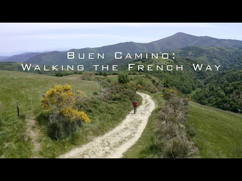 SpaininIreland's tweet photo. The Camino Frances is one of the most popular walking routes in the world. Thousands of people trek the 800km route each year.
 
Join Mark (@FlaglerFilms) as he embarks on this 37-day adventure. His film premieres on 30 September. 

Subscribe for updates: https://t.co/LubrXKR7pt https://t.co/eB6xp1J94O