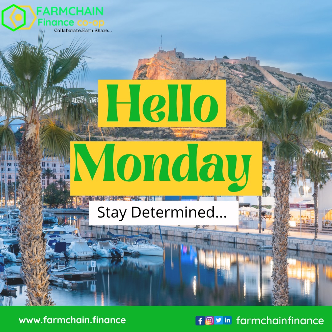Farmchainfinanc's tweet photo. It's Another Beautiful New Week π!
Another great opportunity to keep the #BUIDL Strong πͺ with focus on Inclusion and Adoption π₯π₯π₯π₯ππππ
#Farmchainfinance #fintech #DeFi #CeFi @_CryptoBootcamp @OfficialSiban @CV_Labs @theabcafrica @GrindEarn https://t.co/0DSvP8ELOQ