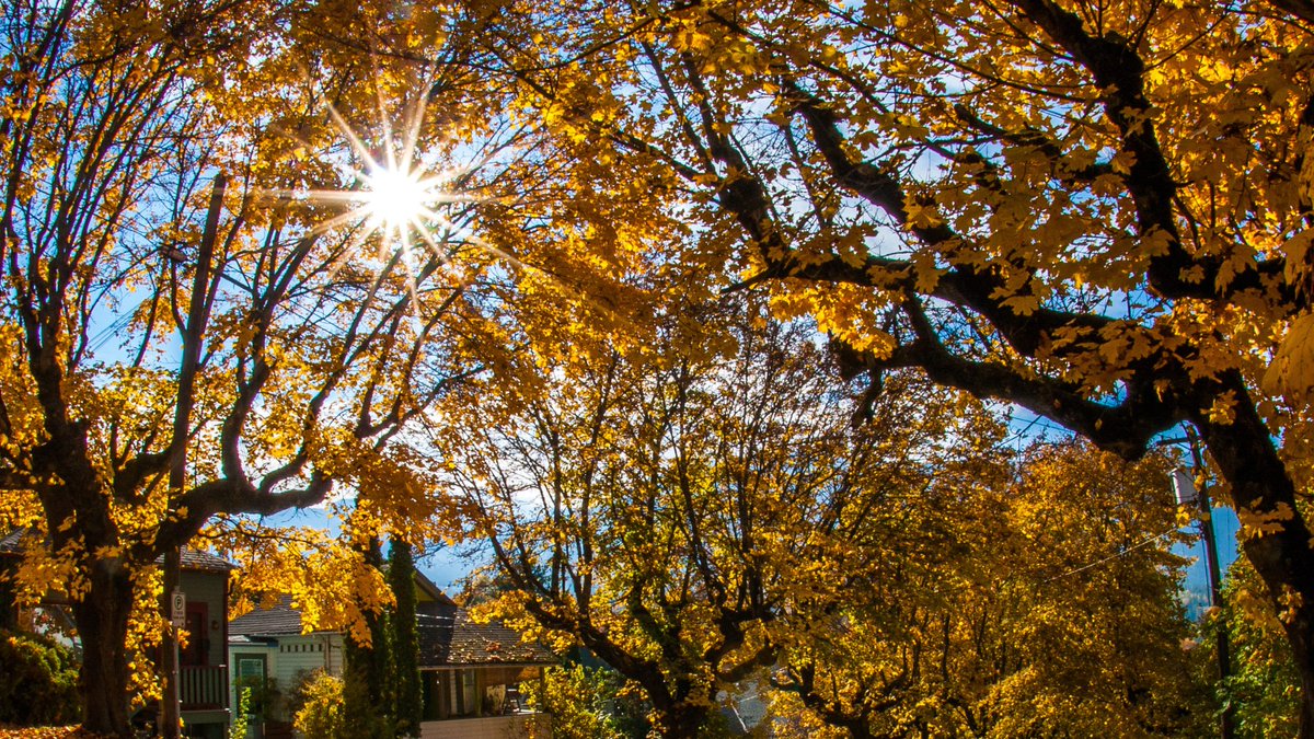 Fall colours like this will be here before you know it! Few places in British Columbia rival the breathtaking autumn display found along the shores of Kootenay Lake. Explore: nklt.travel/BestFallColours #FindingAwesome