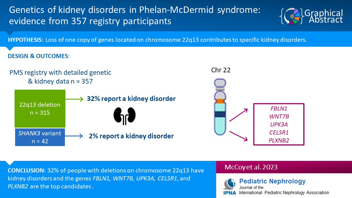 Phelan-McDermid syndrome (PMS) is a rare genetic disorder caused by SHANK3 pathogenic variants or chromosomal rearrangements affecting the chromosome 22q13 region. Read this Original Article on prevalence of kidney disorders in PMS.
link.springer.com/article/10.100…