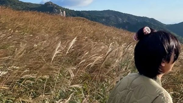 detailsofrm's tweet photo. 🍃🍂 https://t.co/oqtOX8Z9Cy