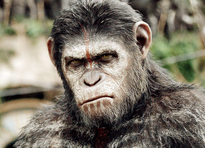 Addicting Games tweet media