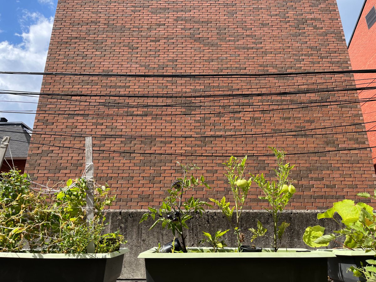 With summer officially over, we want to congratulate the tenant gardening club at Gilmour! They have done incredible work to grow and harvest vegetables this summer. We can't wait to see what they do next year!