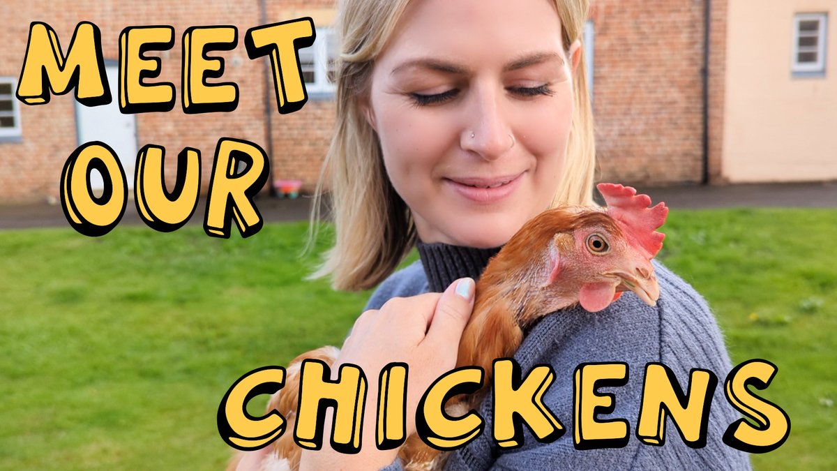 🎥 Meet our chickens! ▶️ youtu.be/LXkHy8XHjEE Custard is already SO problematic 🙄